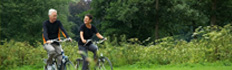Reacties van fietsers Reacties van fietsers