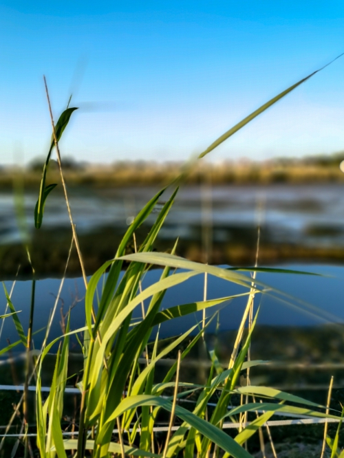 Toeren in het Land van Linge en Waal