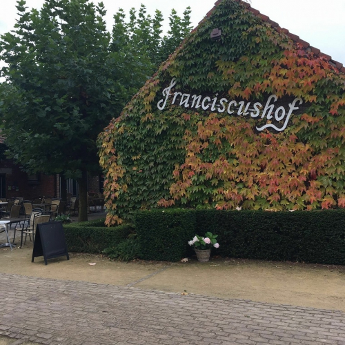 Koffie met gebak