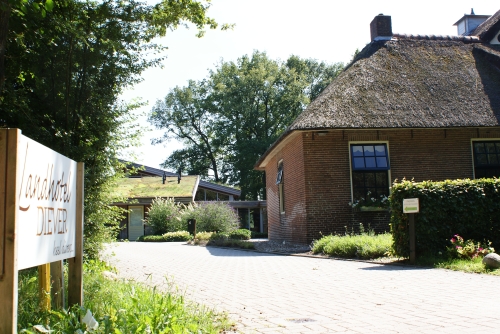 Koffie met gebak
