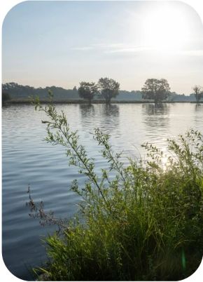 Over dijken, langs de Maas naar Herperduin