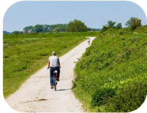 fietser op de dijk