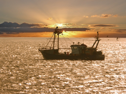Hier aan de kust, de Zeeuwse kust (gecombineerd met Westerschelde Ferry retour oversteek)