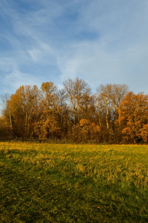 Straf genieten in Sint-Truiden