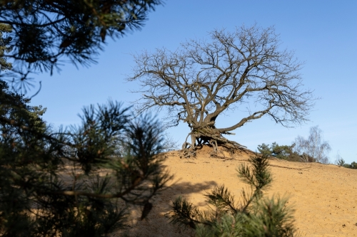 Op ontdekkingstocht door Oudsbergen
