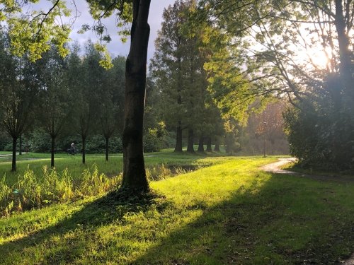 Zoetermeer, meer dan groen!