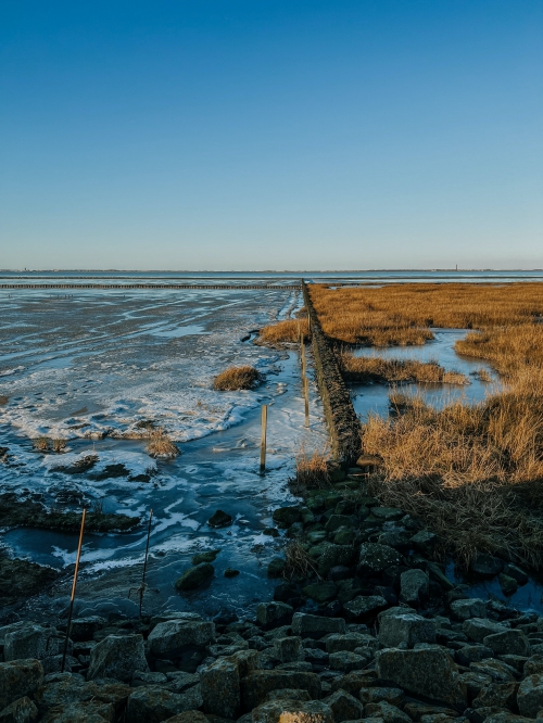 Fier op Friesland