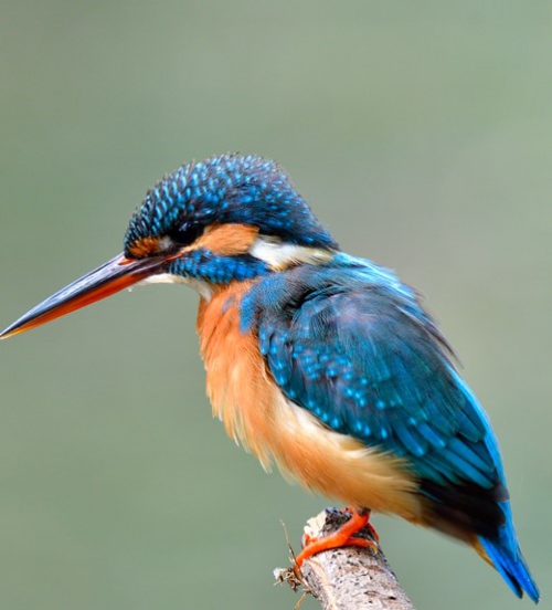 Groots genieten in de Gelderse Vallei