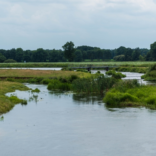 Hardenberg van Vecht zur Vechte