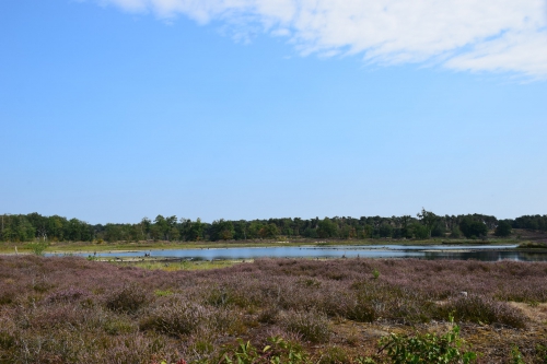 Trappen door het land van de Hoemannen