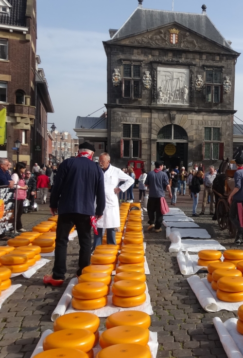 Thema Happen | De Gouden Eeuw Driehoek (Museum Gouda)