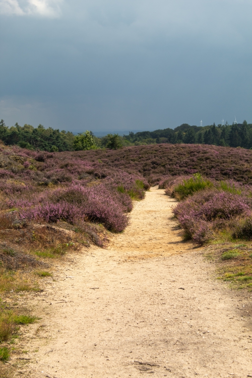 Hoenderloo, van nature goed!