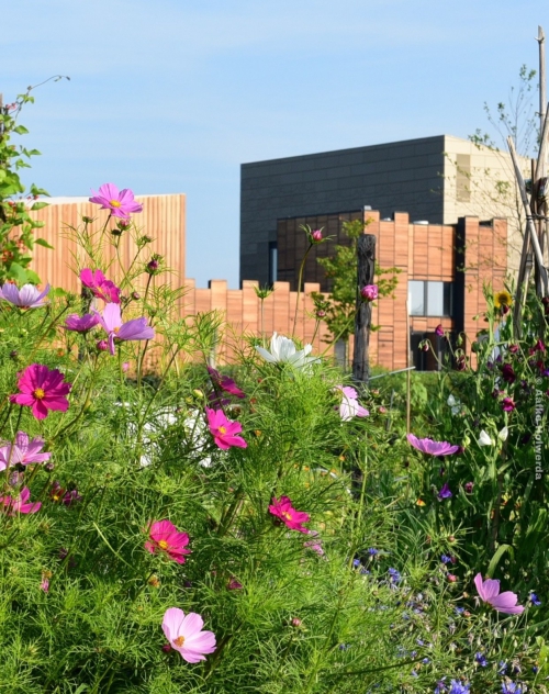 Romeinse sporen langs de Limes van Utrecht