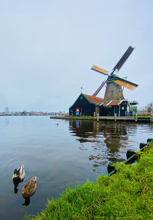 Glorieus genieten rond De Zaanse Schans