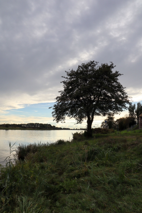 Land van Peel en Maas