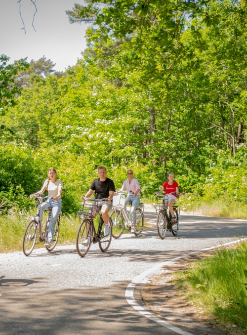 De Fietsallee: Ervaar de Chaamse Bossen