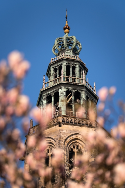 Door stad en land rond grandioos Groningen