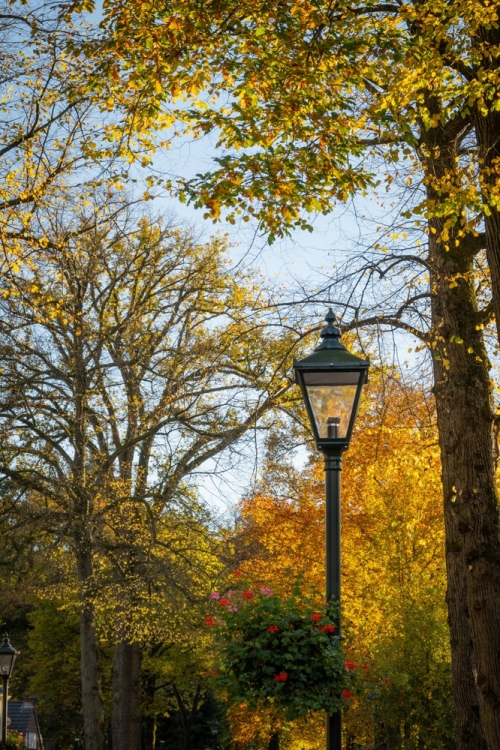 Laveren langs Lage Vuursche en Hilversum