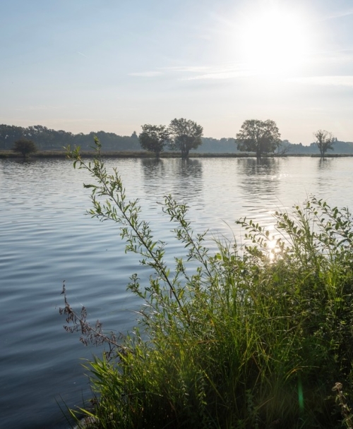 Over Dijken, langs de Maas, naar Herperduin