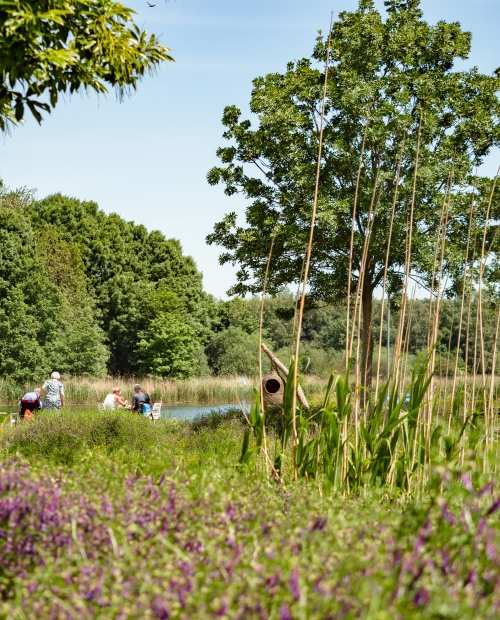 Op de pedalen door het polder paradijs