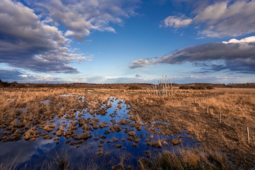 Thema Happen | Trappen door Death Valley de Peel