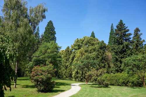 Thema Happen | Trappen langs Nationaal Bomenmuseum Gimborn