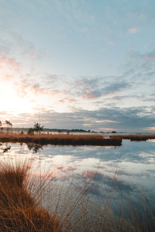 Door Heide en Historie - van Fort tot Hoeve