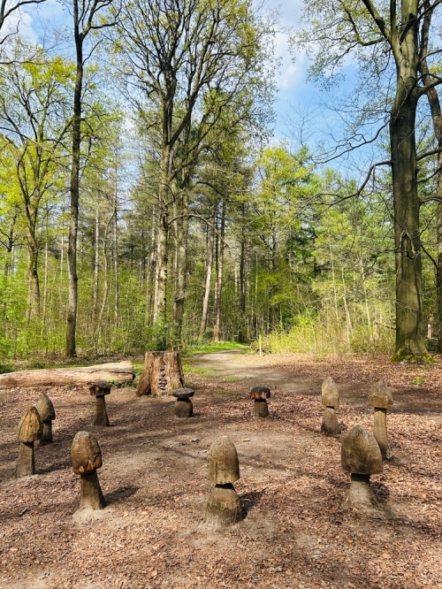 Van witte Nete naar Kempens Groendomein