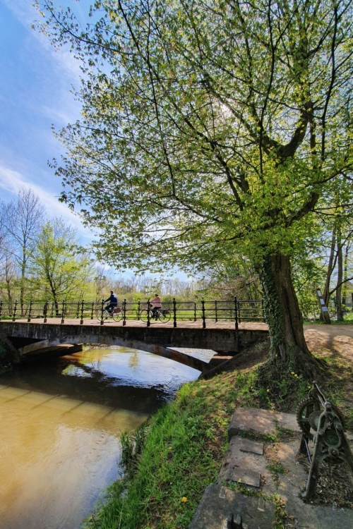 Door de Kempen van abdij tot Netevallei
