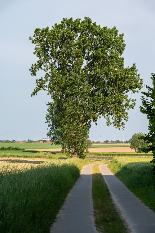 Bieten & Genietenroute