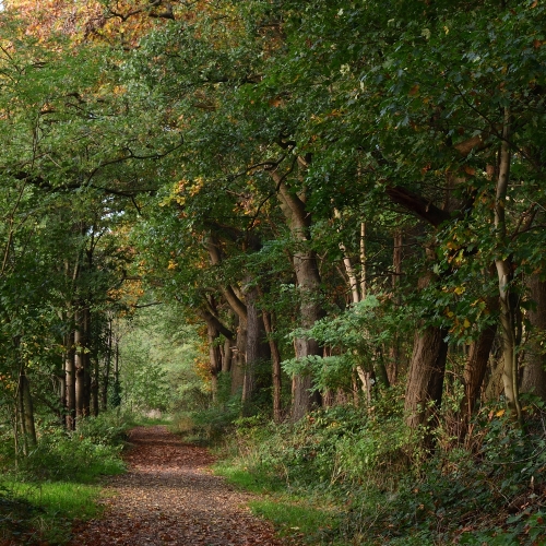 De groene parels van de Kempen