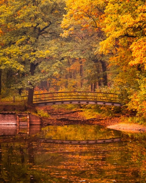 De groene parels van de Kempen