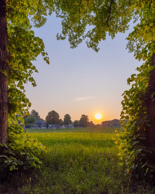 Verliefd langs de oevers van de Regge