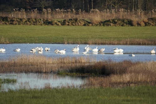 Ervaar de Smaak van de Stille Kempen