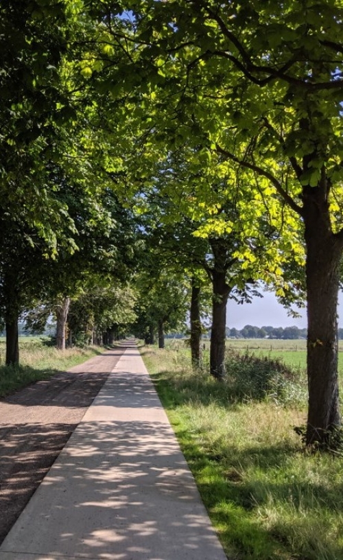 Tussen Twentse velden en Sallandse heuvels