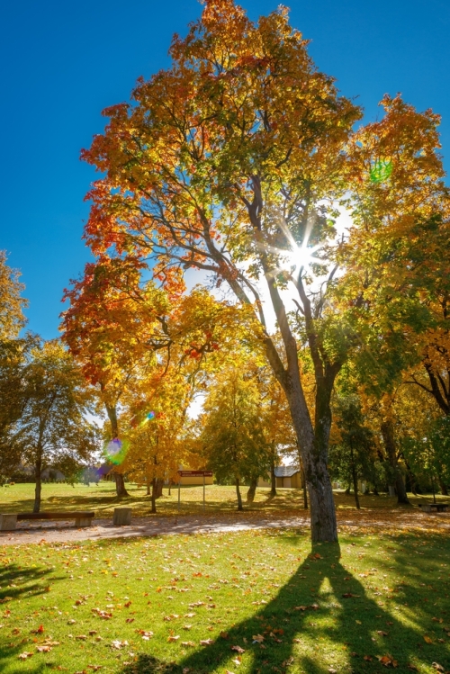 De Groene Kastelenroute