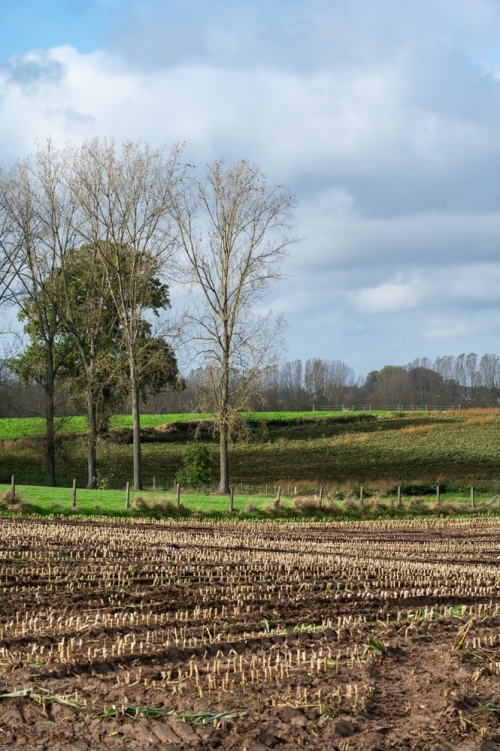 Op de pedalen door het land van Bruegel