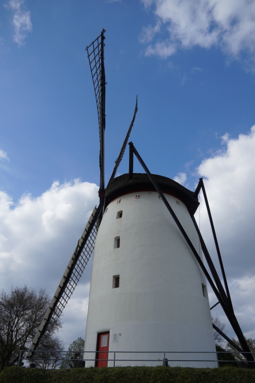 Das blumenreiche Grenzland zwischen Maas und Niers