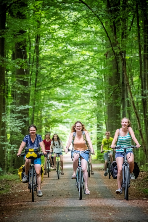 Nationaal Park Brabantse Wouden
