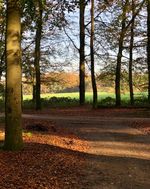 Rondje Achterhoek