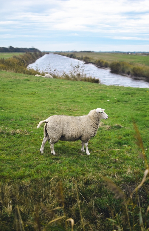 Heen en terug van Betuwe naar Utrechtse Heuvelrug