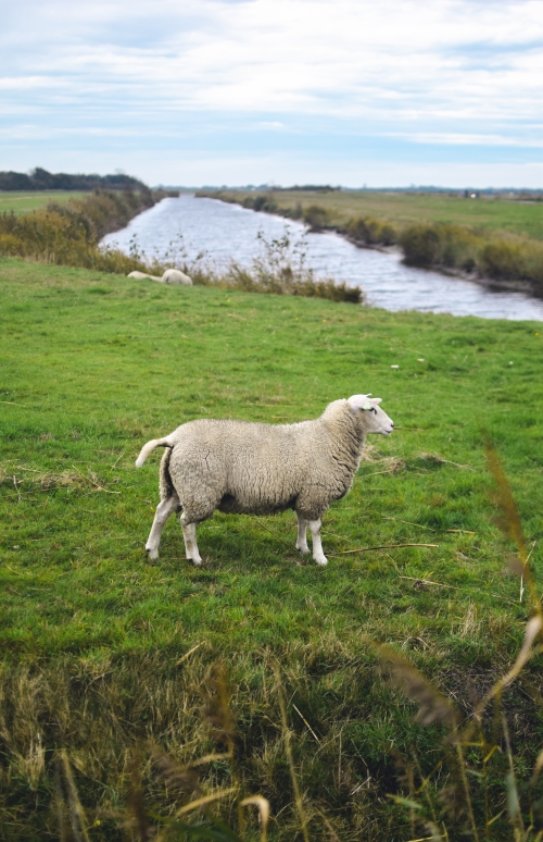 Toeren in het Land van Linge en Waal