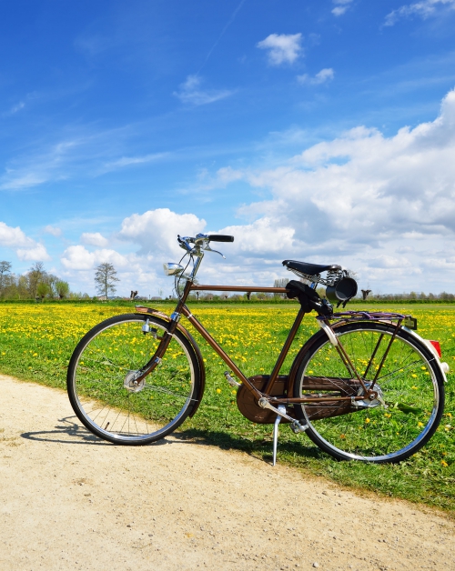 Een bourgondische kijk op de dijk