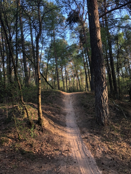 Nationaal Park De Sallandse Heuvelrug