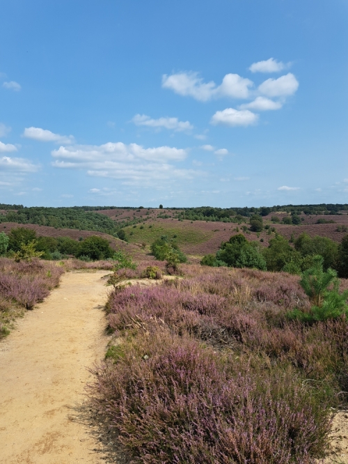 In het spoor van de Nassaus