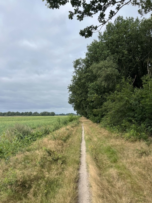 De Schatkamer van Twente 